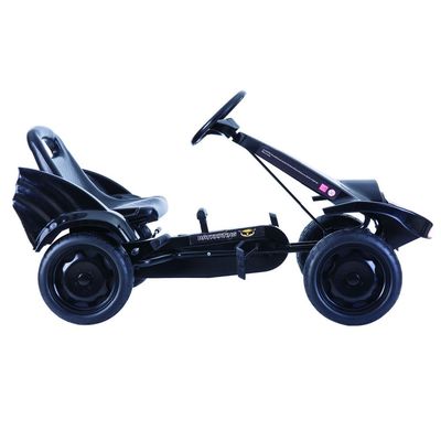 Venda de G.W. N.W 13.7kg/11.7kg Carros de bicicleta para crianças com assento ajustável