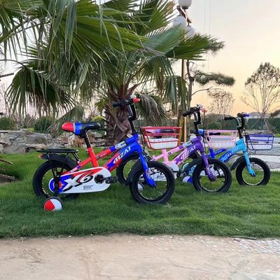 Quadro de aço carbono de 12 polegadas Ride On Toy N.W de 8 kg e adequado para bebê de 2-7 anos de idade