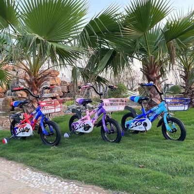 Quadro de aço carbono de 12 polegadas Ride On Toy N.W de 8 kg e adequado para bebê de 2-7 anos de idade
